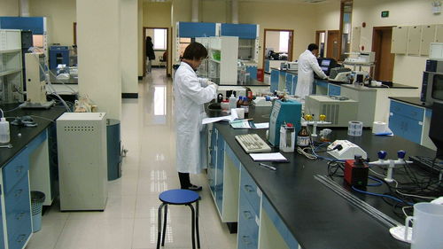 江蘇世通儀器檢測服務在飼料添加劑生產(chǎn)中的關鍵作用